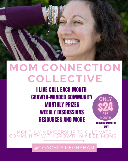 The Mom Connection Bundle: Collective Membership + 345 Journal